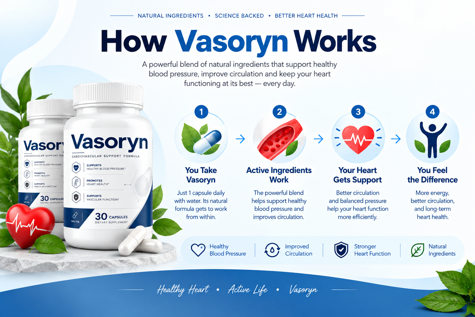 How Vasoryn works: you take Vasoryn, active ingredients work, your heart gets support, you feel the difference